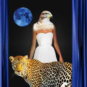 Blue Moon - Gordon Coldwell